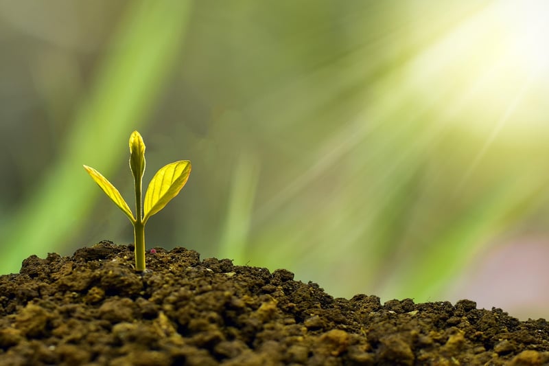 Comment établir un prévisionnel financier fiable pour votre future entreprise en 2026