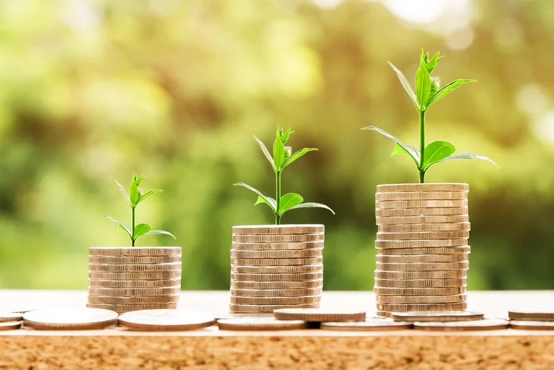 Peut-on faire un prévisionnel soi-même ? (La réponse va vous surprendre)