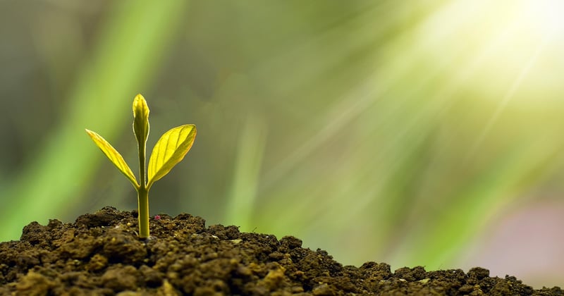Prodevcommercial : structurer sa croissance business sans s'éparpiller